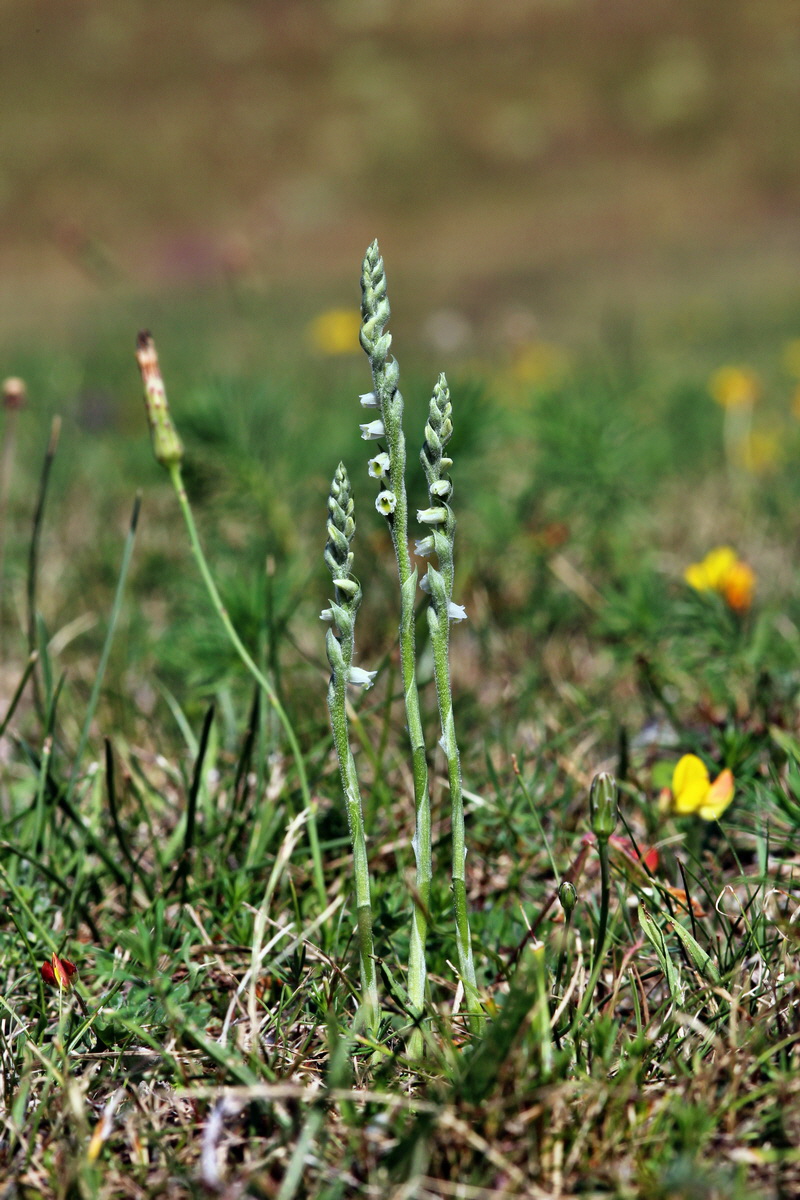 2013_08_26_00029373p_Bildgr��e �ndern