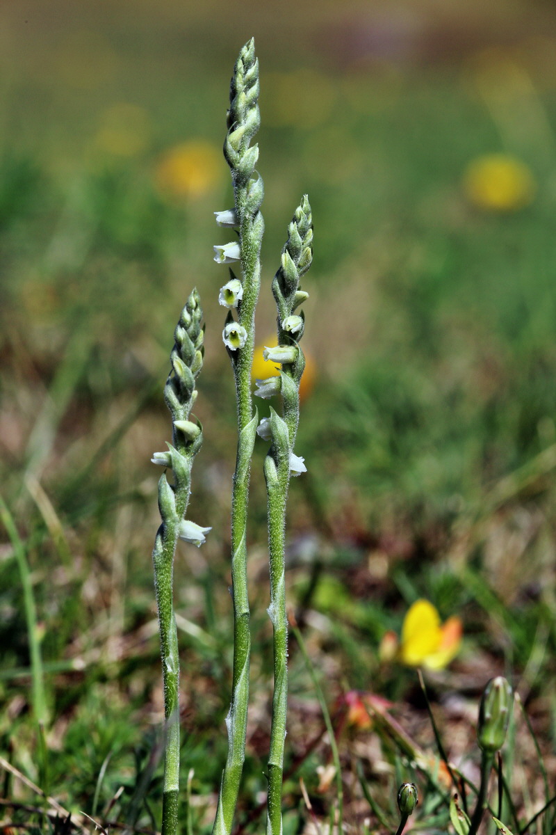 2013_08_26_00029377p_Bildgr��e �ndern