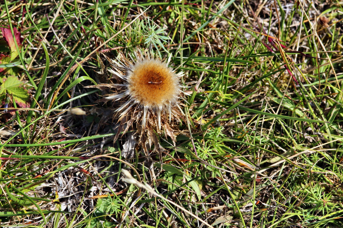 2013_08_26_00029383p_Bildgr��e �ndern