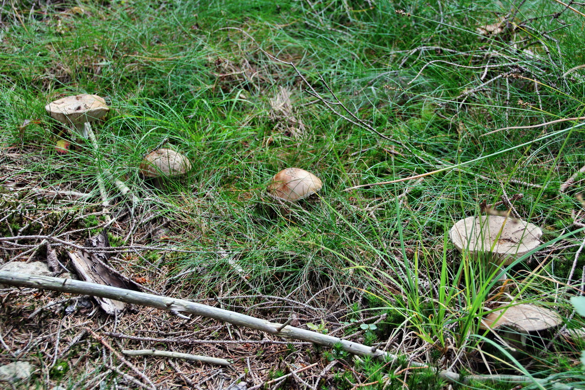 2013_08_27_00029450p_Bildgr��e �ndern