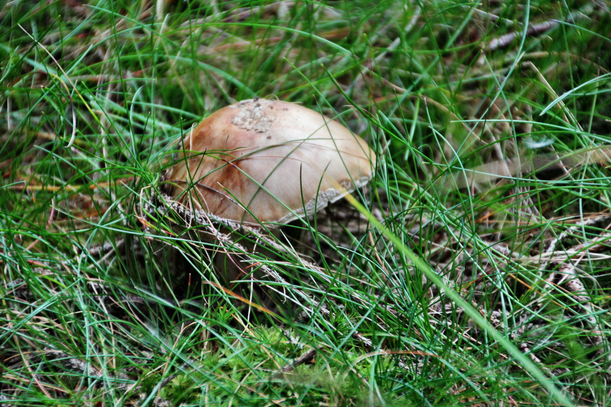 2013_08_27_00029452p_Bildgr��e �ndern