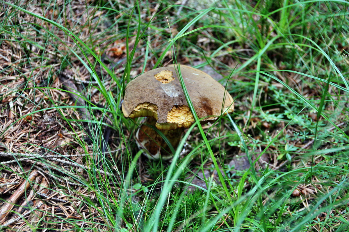 2013_08_27_00029485p_Bildgr��e �ndern