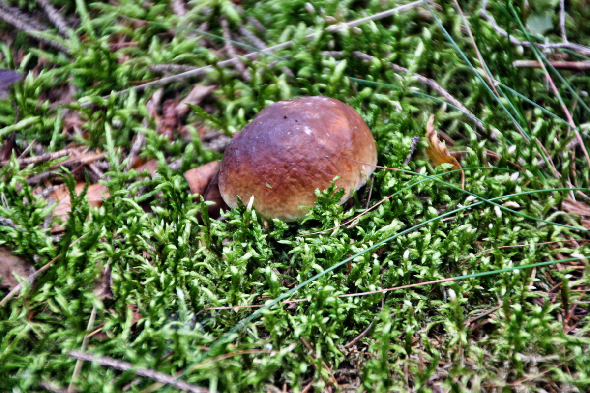 2013_08_27_00029487p_Bildgr��e �ndern