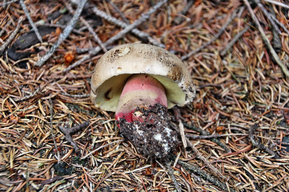 2013_08_27_00029502p_Bildgr��e �ndern