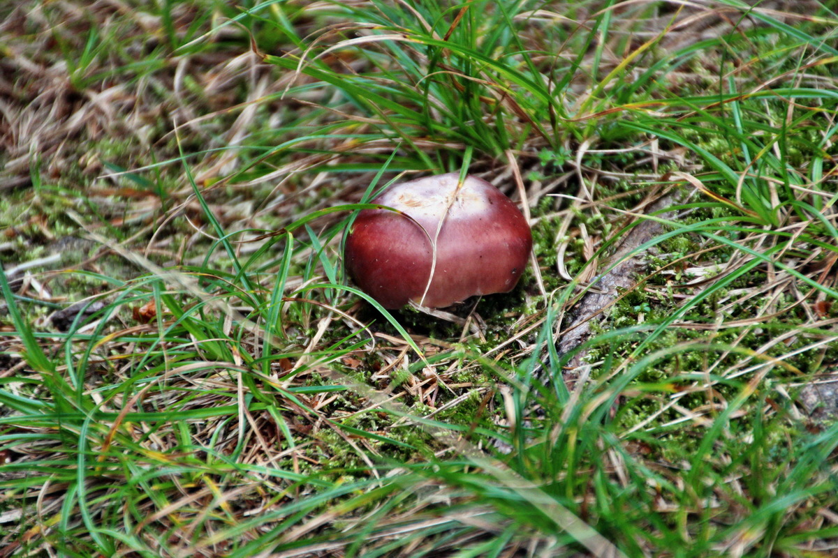 2013_08_27_00029515p_Bildgr��e �ndern