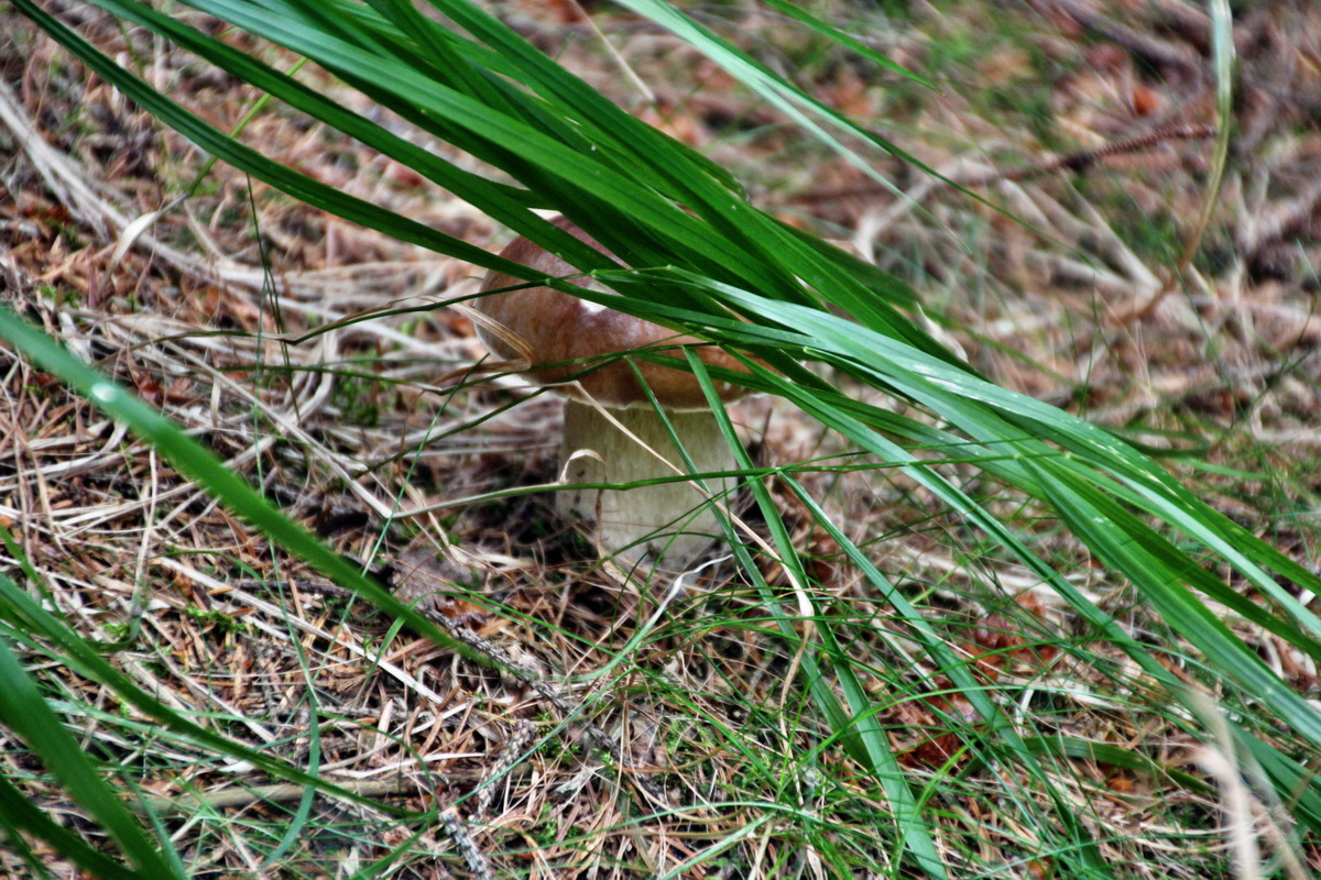 2013_08_27_00029526p_Bildgr��e �ndern