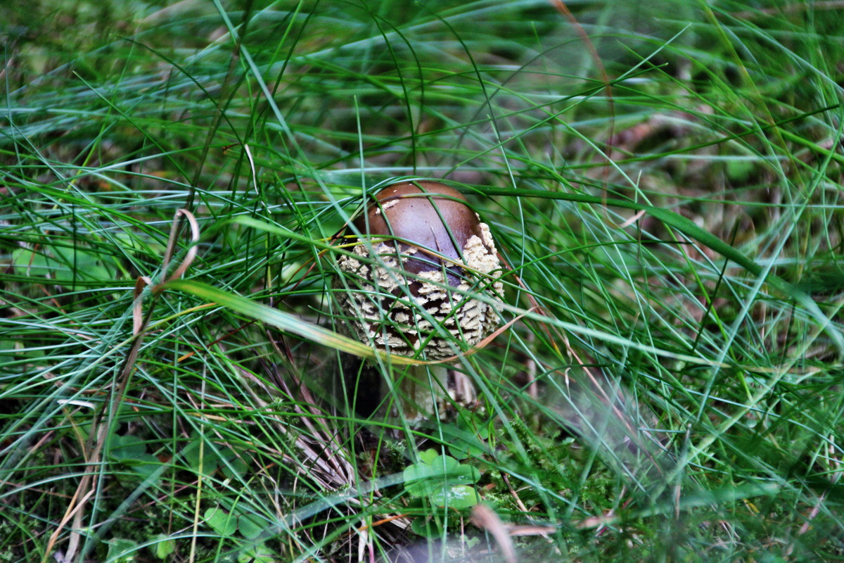 2013_08_27_00029537p_Bildgr��e �ndern