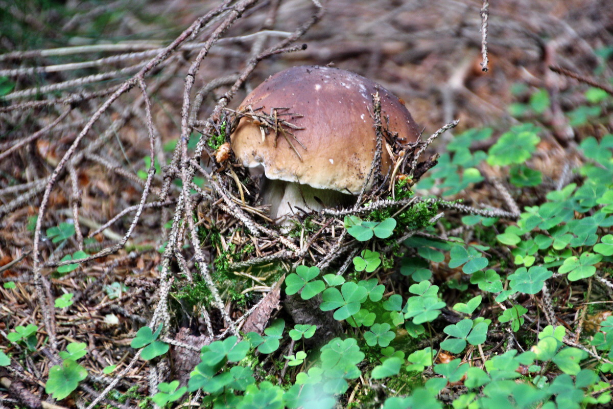 2013_08_27_00029542p_Bildgr��e �ndern