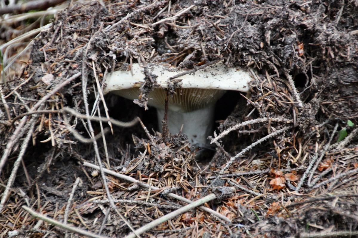 2013_08_27_00029547p_Bildgr��e �ndern