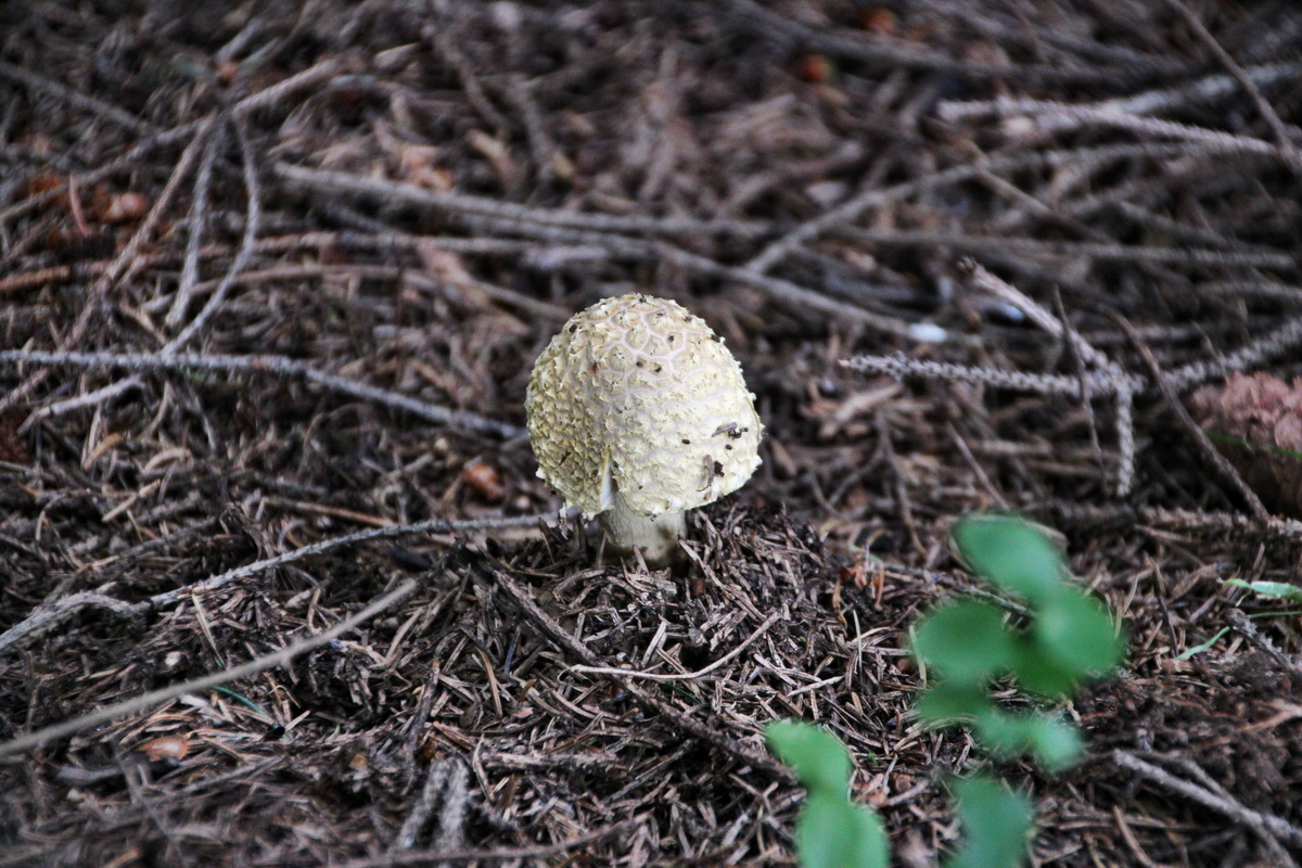 2013_08_27_00029551p_Bildgr��e �ndern