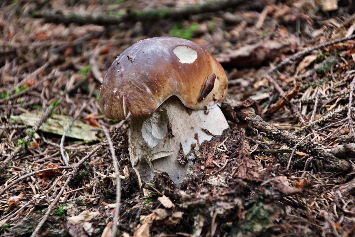 2013_08_27_00029566p_Bildgr��e �ndern