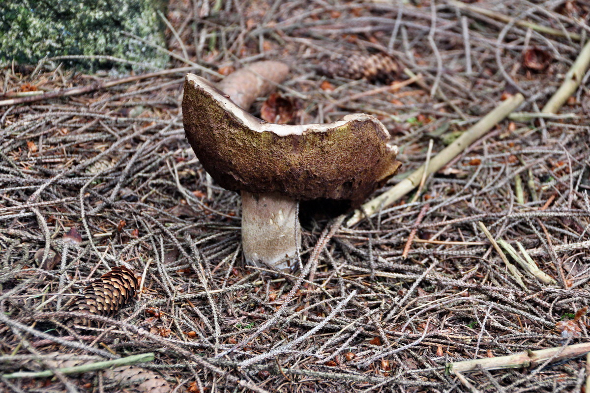 2013_08_27_00029575p_Bildgr��e �ndern