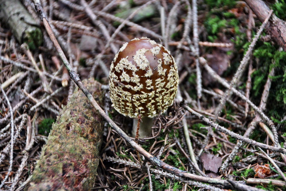 2013_08_27_00029586p_Bildgr��e �ndern