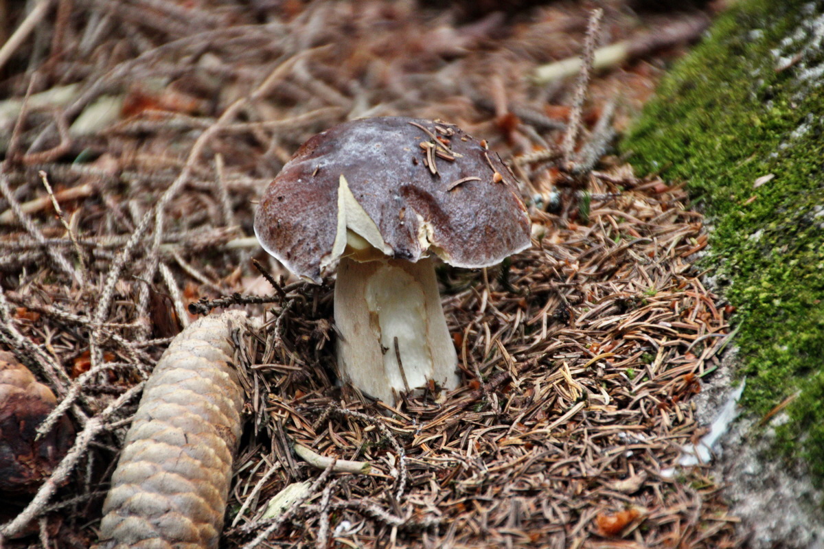 2013_08_27_00029619p_Bildgr��e �ndern