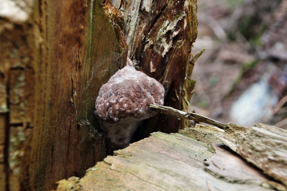 2013_08_27_00029630p_Bildgr��e �ndern