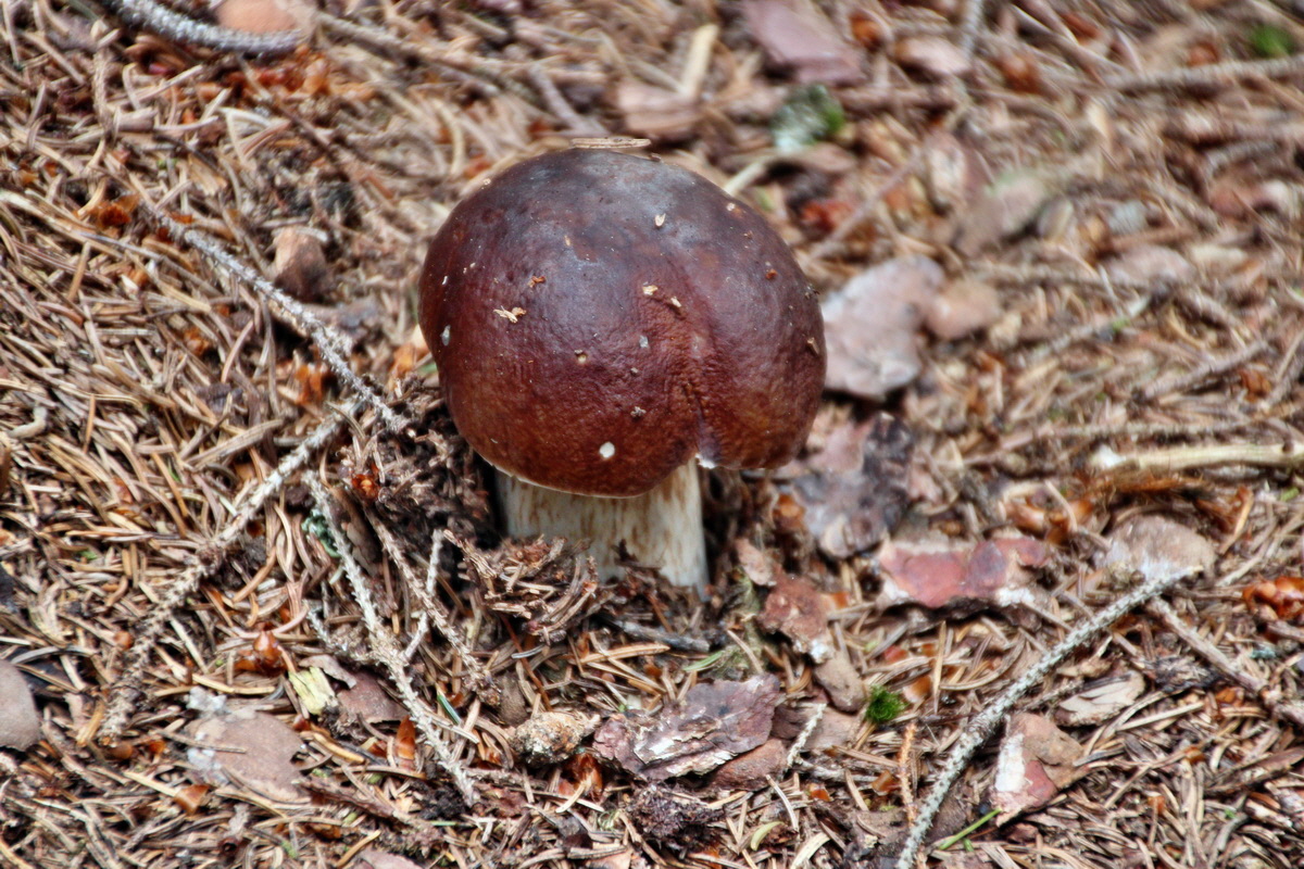 2013_08_27_00029639p_Bildgr��e �ndern