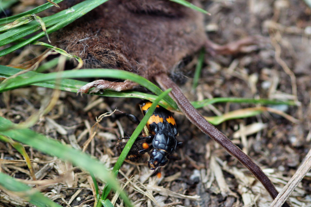 2013_08_28_00029686p_Bildgr��e �ndern