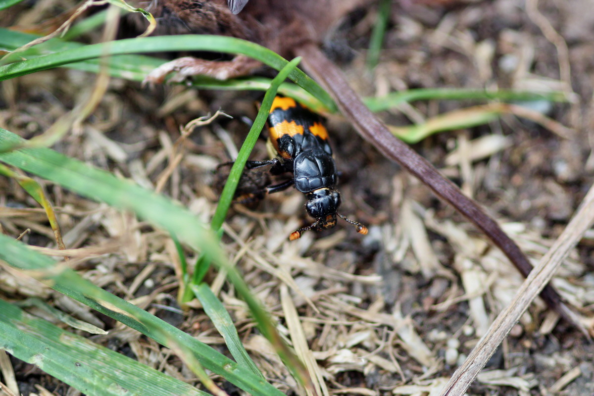 2013_08_28_00029691p_Bildgr��e �ndern