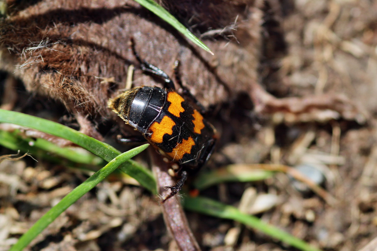 2013_08_28_00029697p_Bildgr��e �ndern