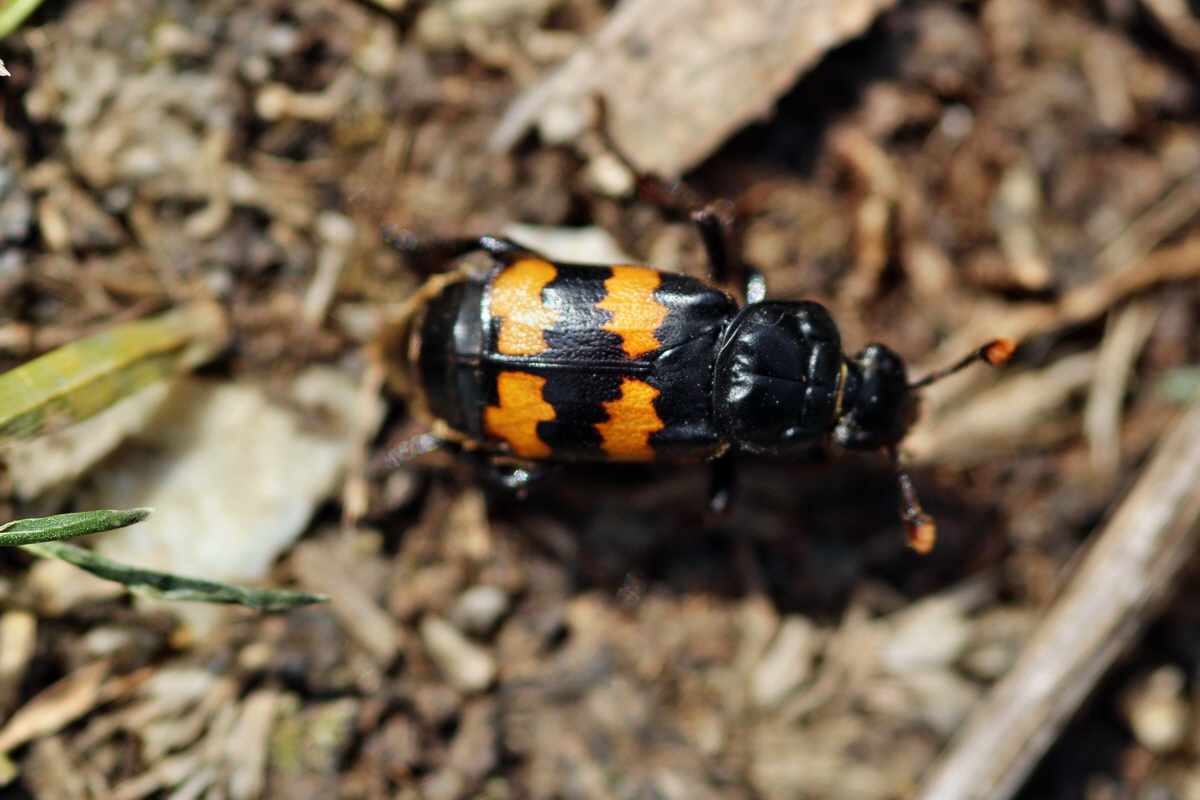 2013_08_28_00029704p_Bildgr��e �ndern