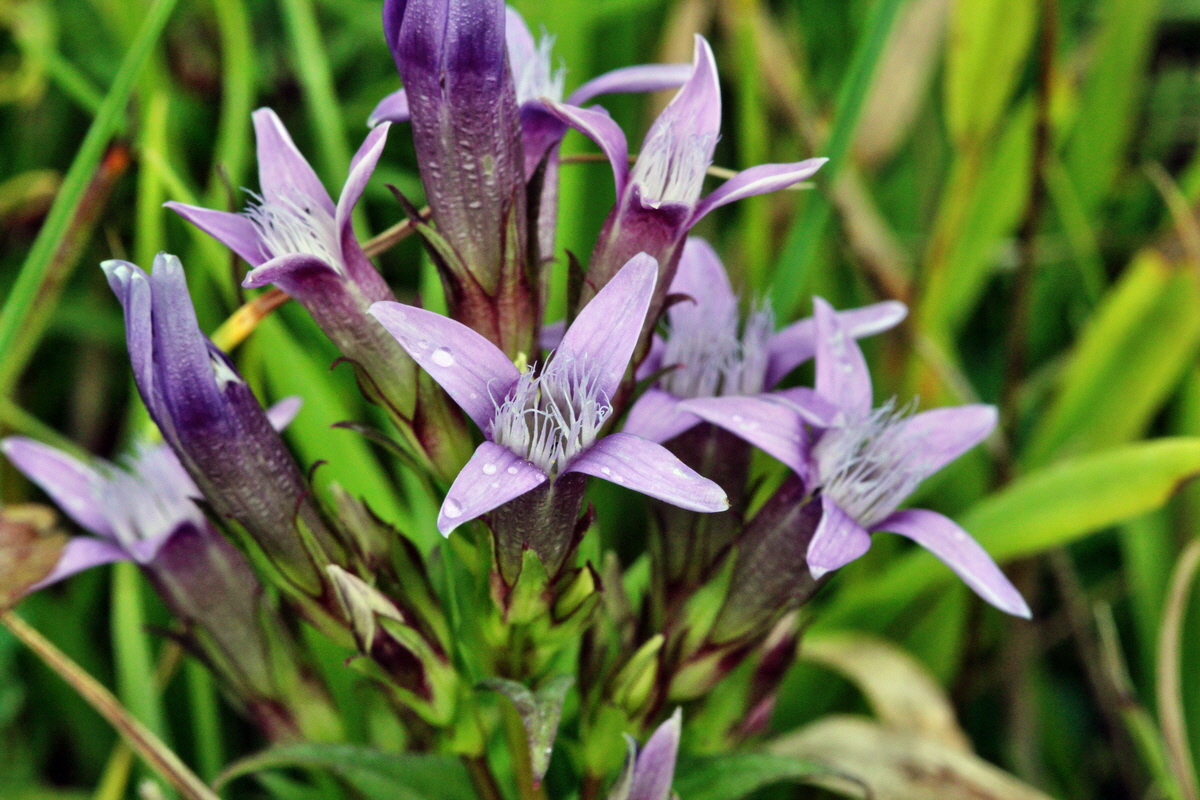 2013_08_28_00029707p_Bildgr��e �ndern