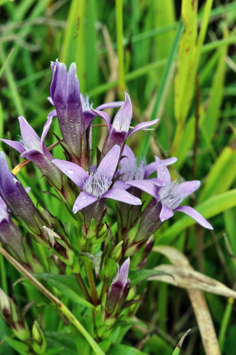 2013_08_28_00029711p_Bildgr��e �ndern