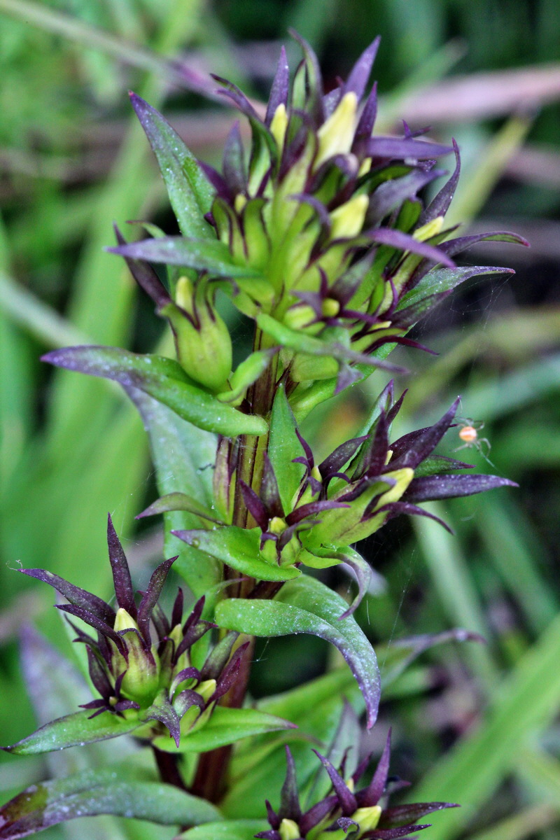 2013_08_28_00029716p_Bildgr��e �ndern