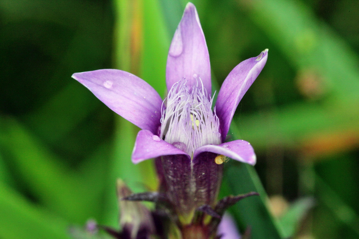 2013_08_28_00029721p_Bildgr��e �ndern