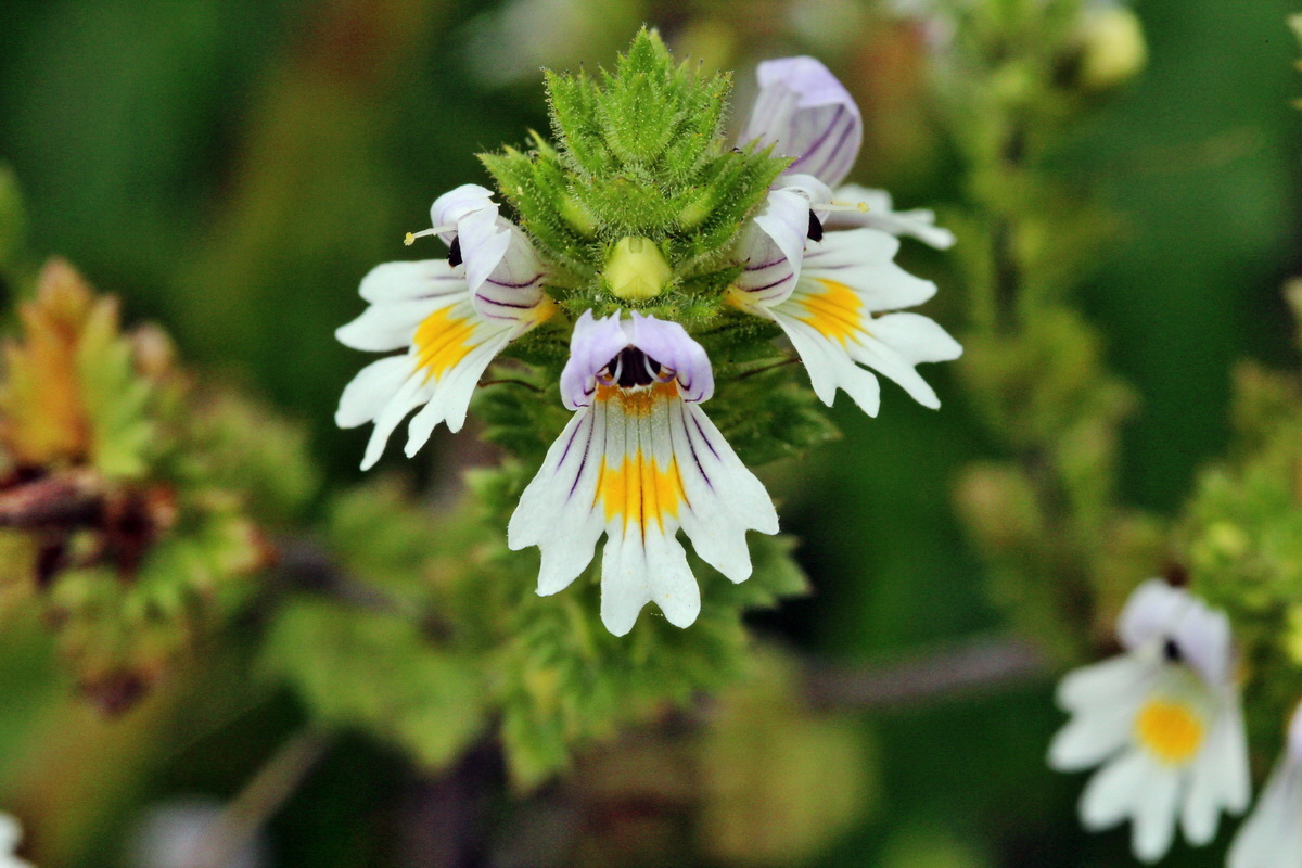 2013_08_28_00029729p_Bildgr��e �ndern