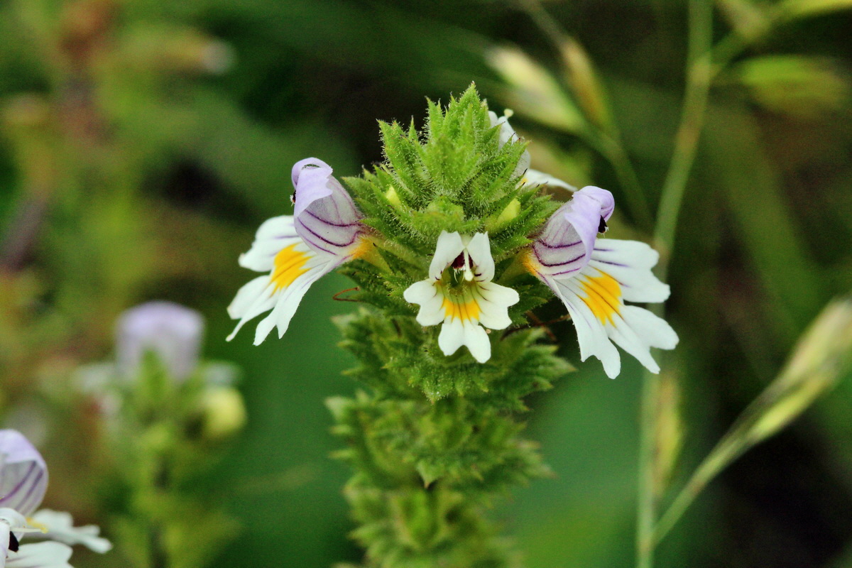 2013_08_28_00029734p_Bildgr��e �ndern