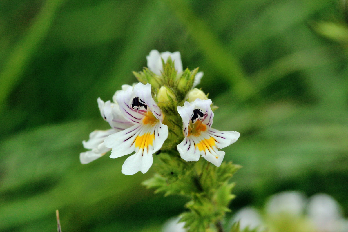 2013_08_28_00029744p_Bildgr��e �ndern