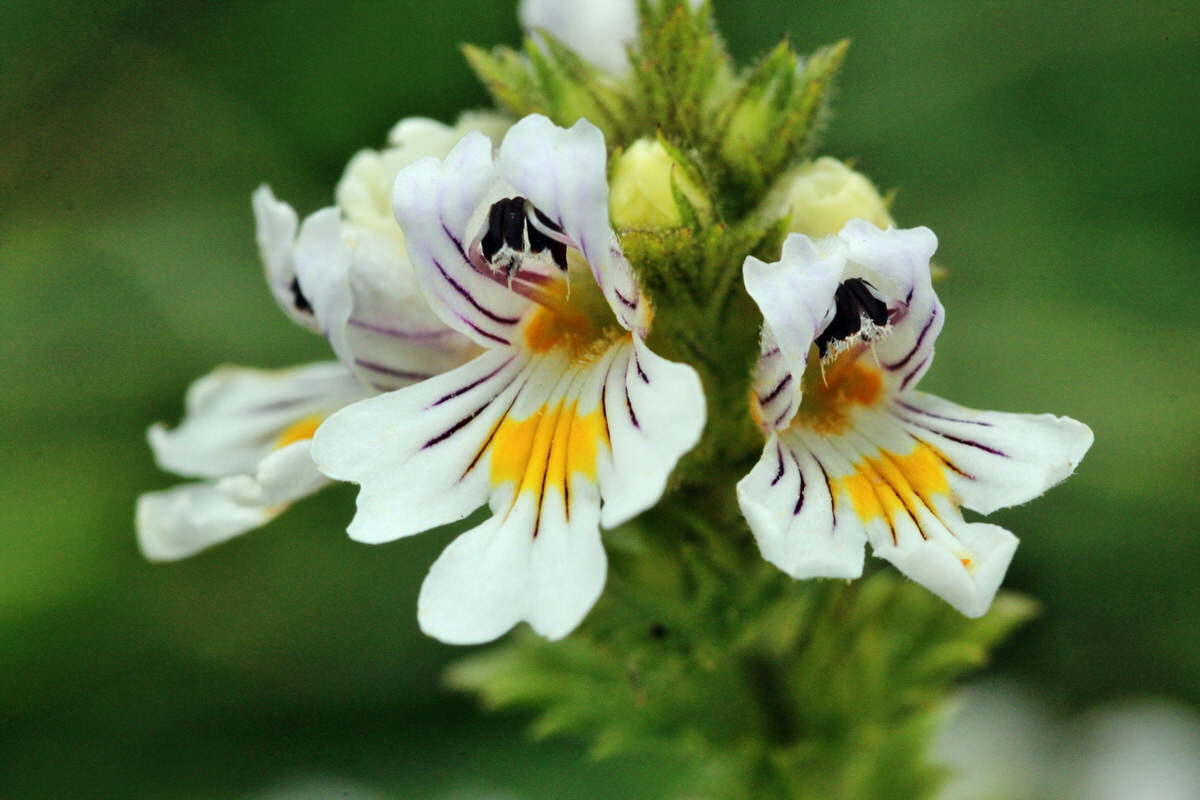 2013_08_28_00029749p_Bildgr��e �ndern