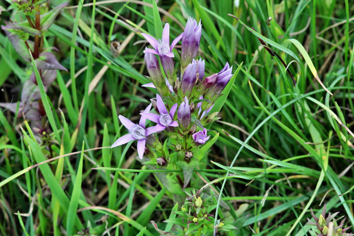 2013_08_28_00029754p_Bildgr��e �ndern