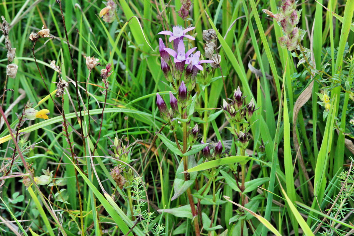 2013_08_28_00029757p_Bildgr��e �ndern