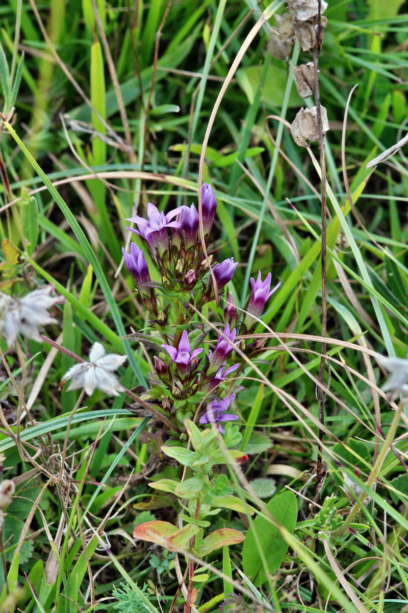 2013_08_28_00029763p_Bildgr��e �ndern