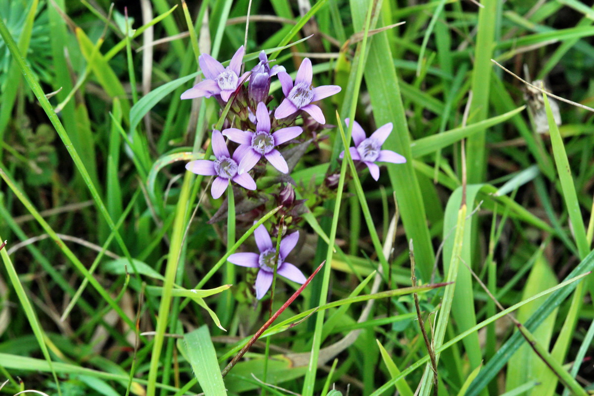 2013_08_28_00029771p_Bildgr��e �ndern