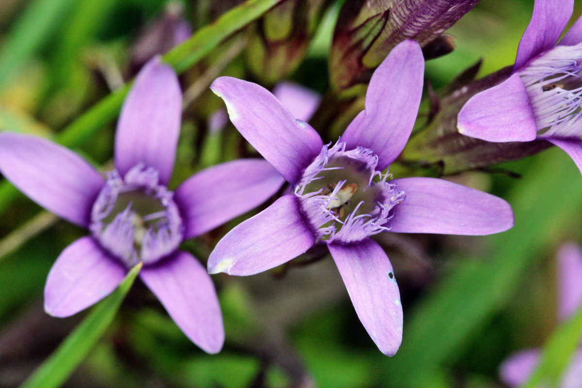 2013_08_28_00029772p_Bildgr��e �ndern