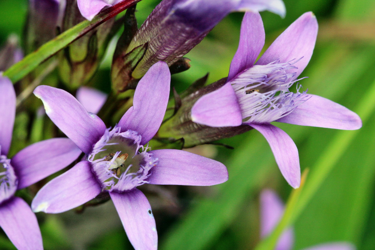 2013_08_28_00029776p_Bildgr��e �ndern