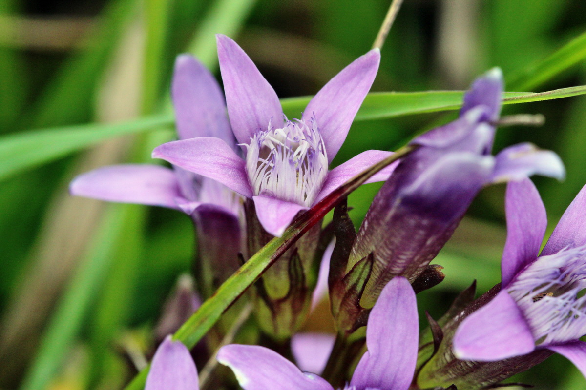 2013_08_28_00029781p_Bildgr��e �ndern