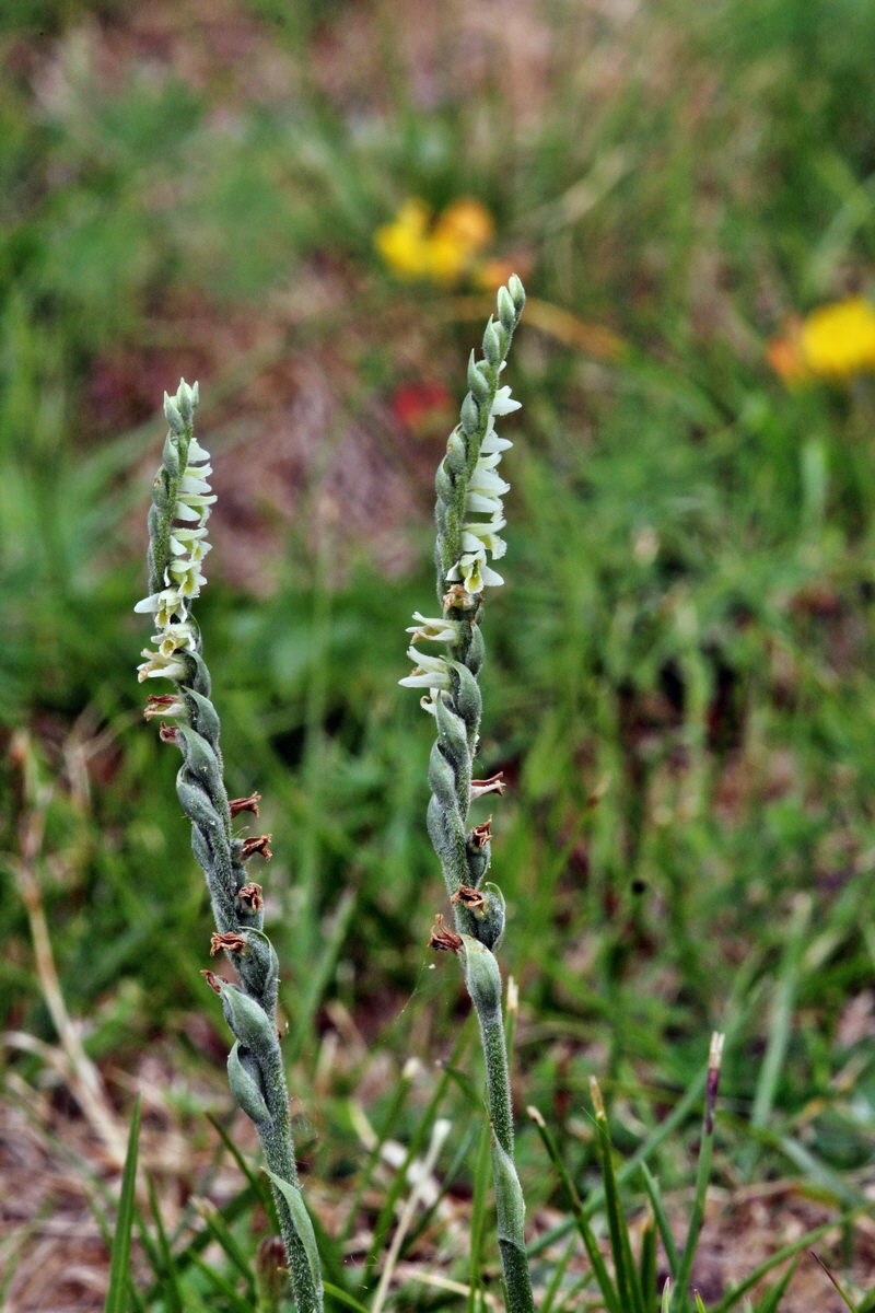 2013_08_31_00029835p_Bildgr��e �ndern