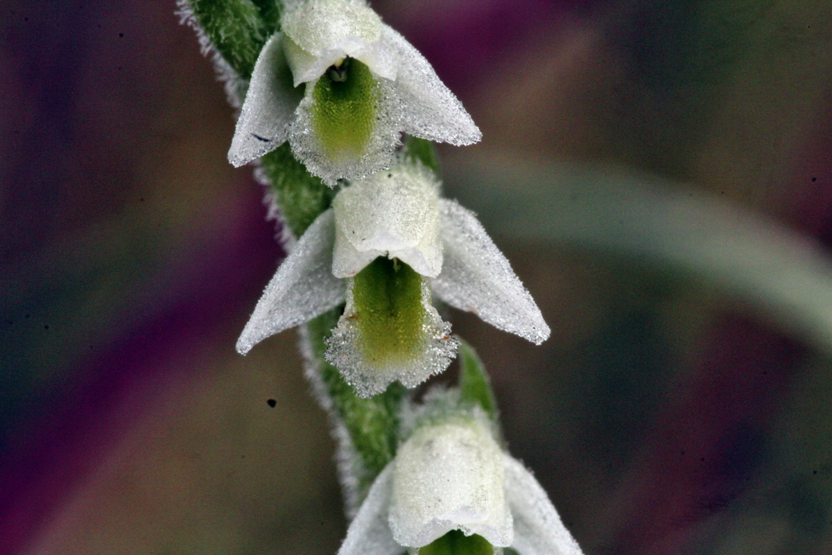 2013_08_31_00029839p_Bildgr��e �ndern