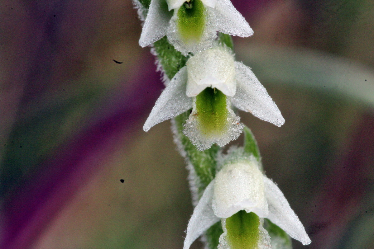 2013_08_31_00029849p_Bildgr��e �ndern