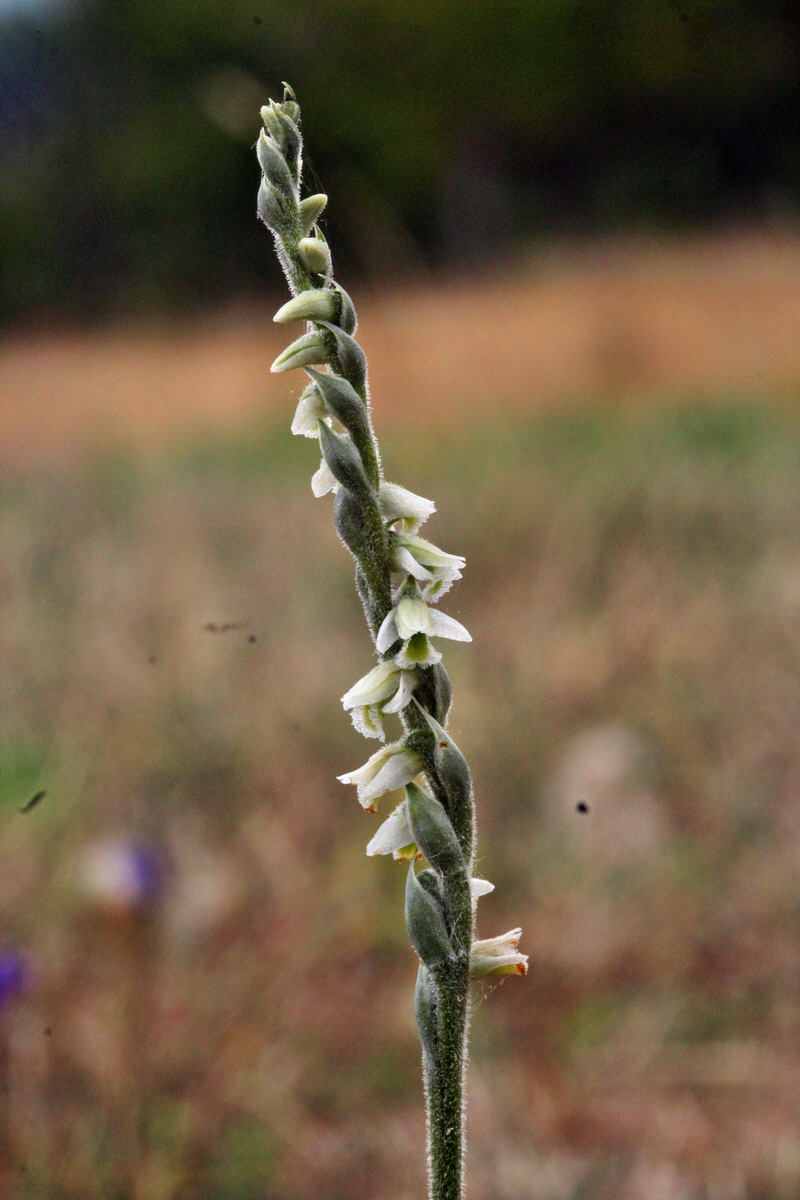 2013_08_31_00029868p_Bildgr��e �ndern