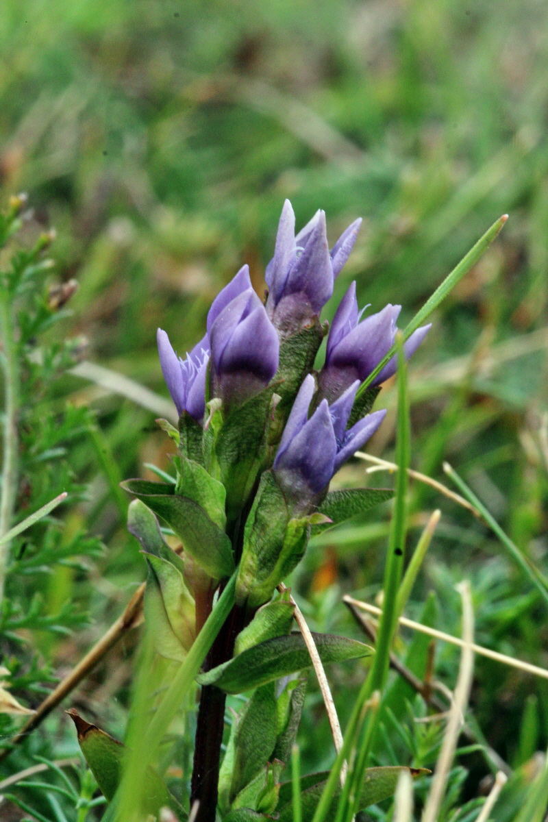 2013_08_31_00029882p_Bildgr��e �ndern