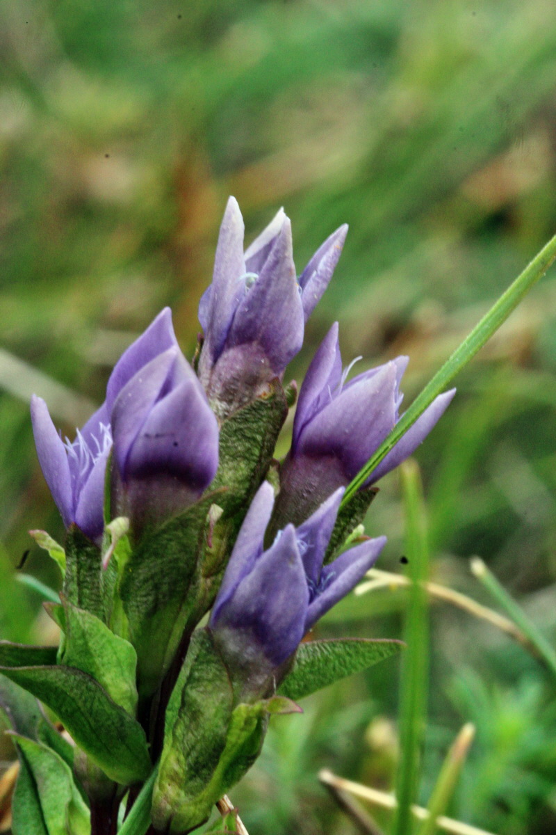 2013_08_31_00029887p_Bildgr��e �ndern