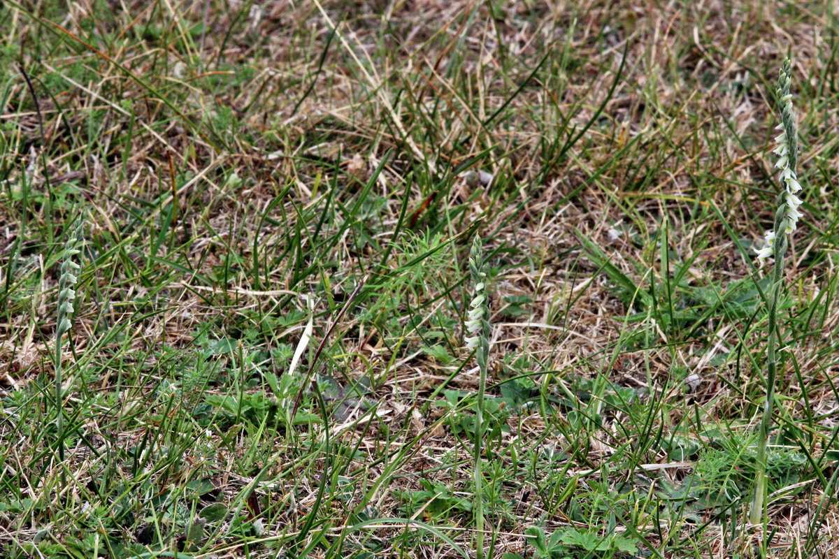 2013_08_31_00029890p_Bildgr��e �ndern