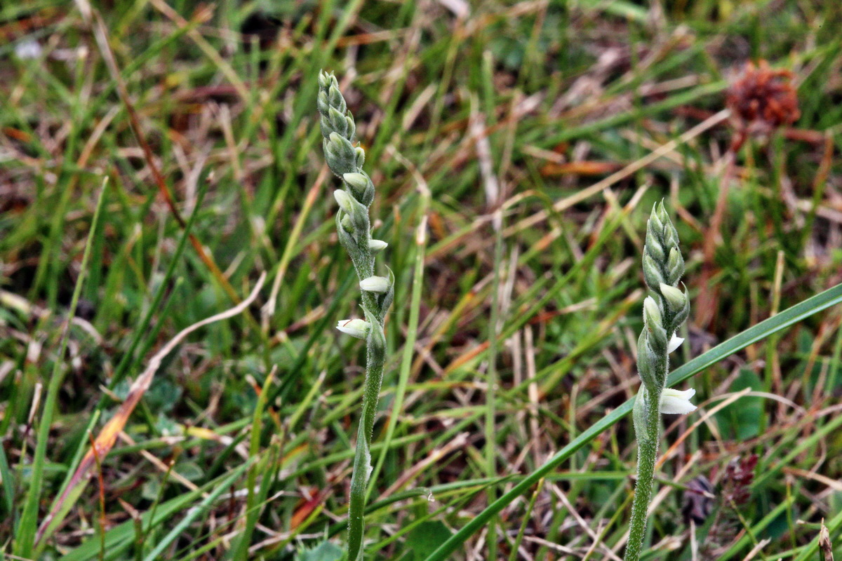 2013_08_31_00029892p_Bildgr��e �ndern