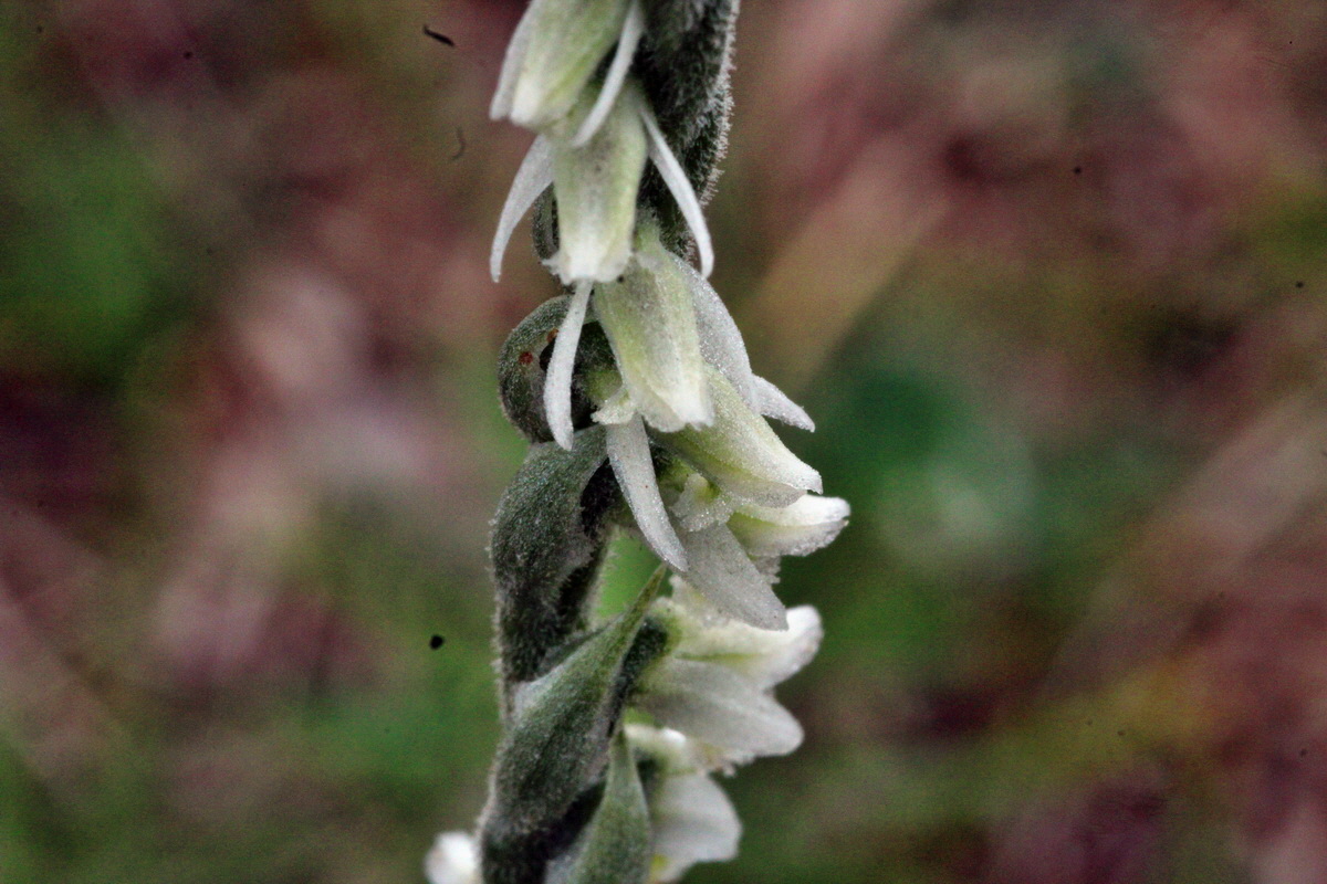 2013_08_31_00029897p_Bildgr��e �ndern