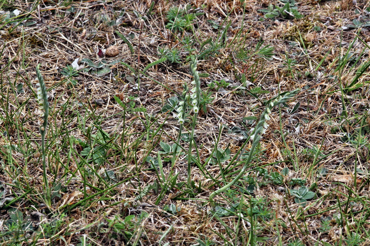 2013_08_31_00029900p_Bildgr��e �ndern