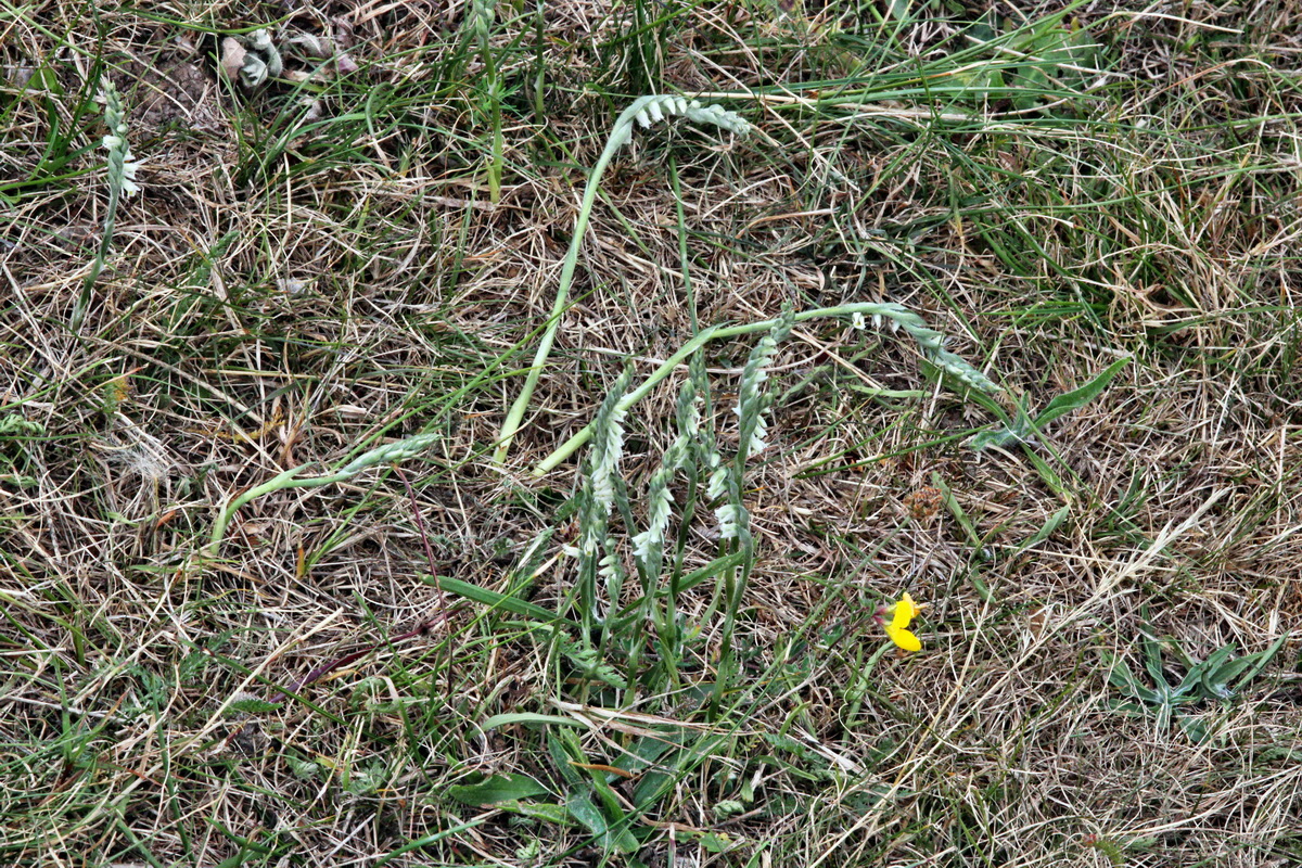 2013_08_31_00029904p_Bildgr��e �ndern